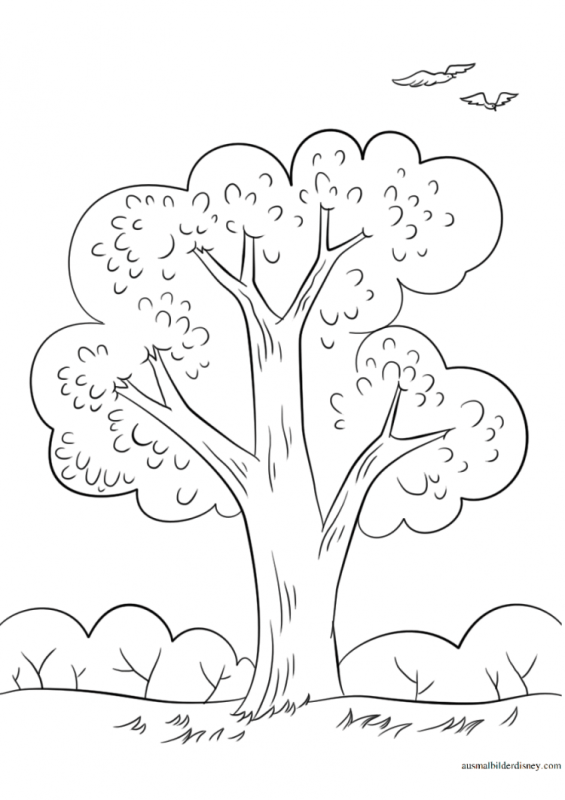 Кленовое дерево раскраска