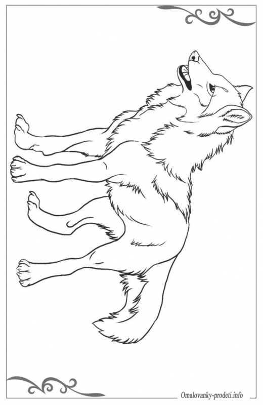 Волки Балто лайны