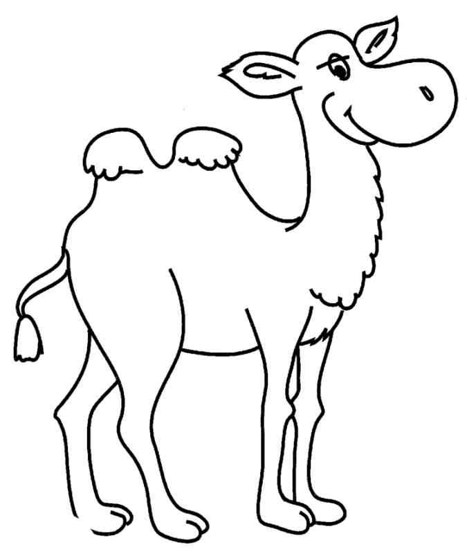 Раскраски для детей животные