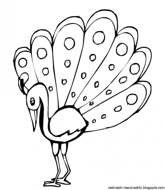 Раскраска антистресс Павлин с распущенным хвостом