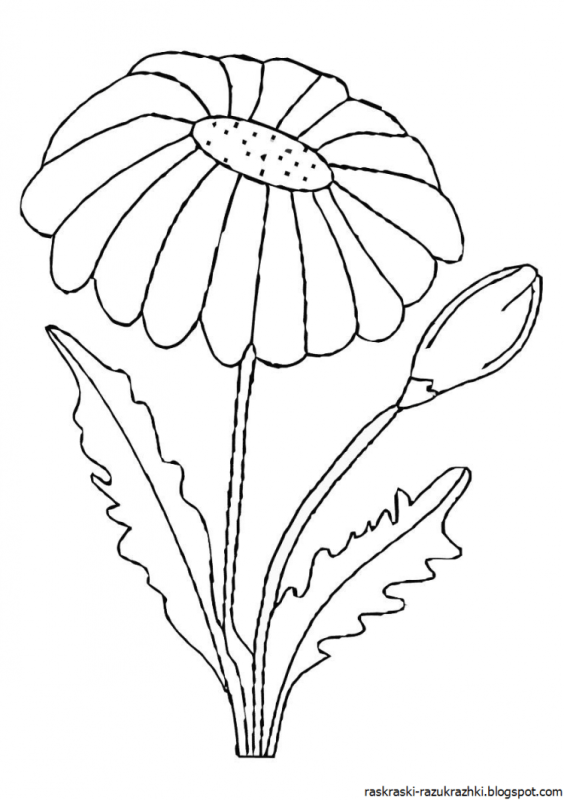 Ромашки трафареты для вырезания цветные