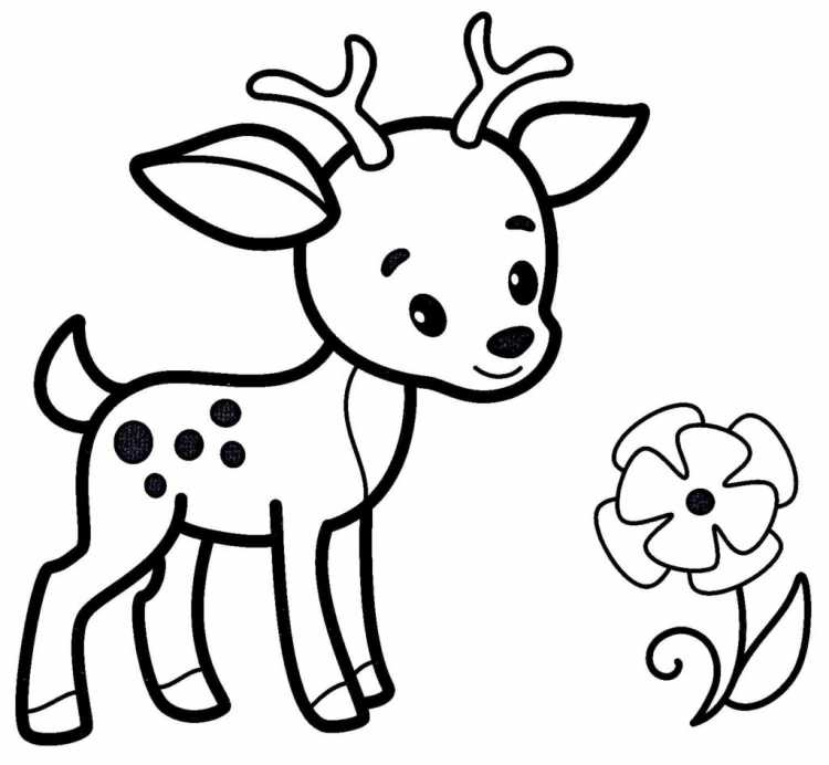Олень раскраска для детей