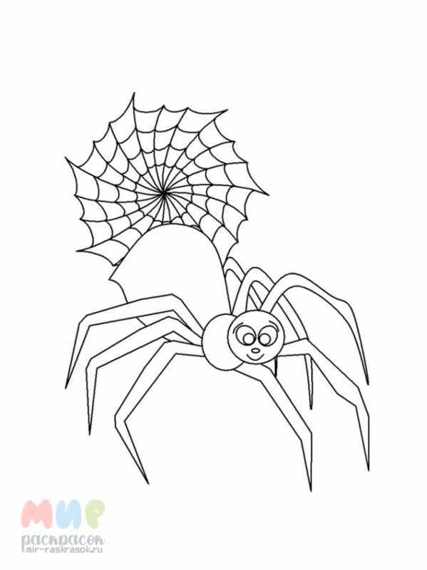 Трафареты пауков для вырезания