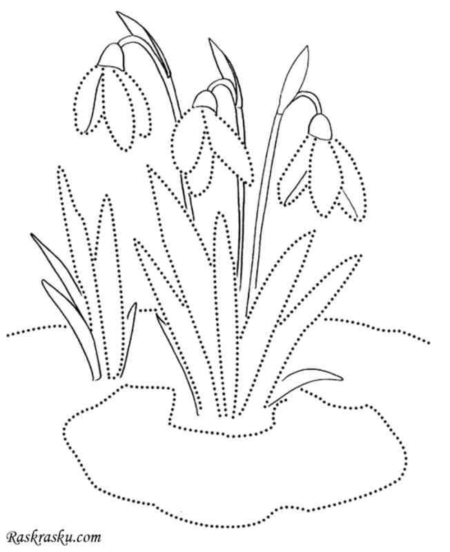 Подснежник раскраска