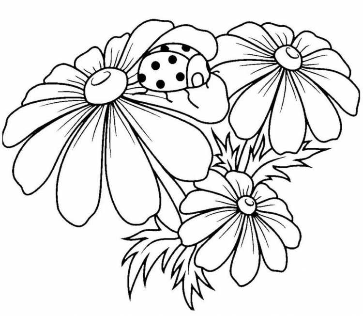 Цветочек раскраска для малышей