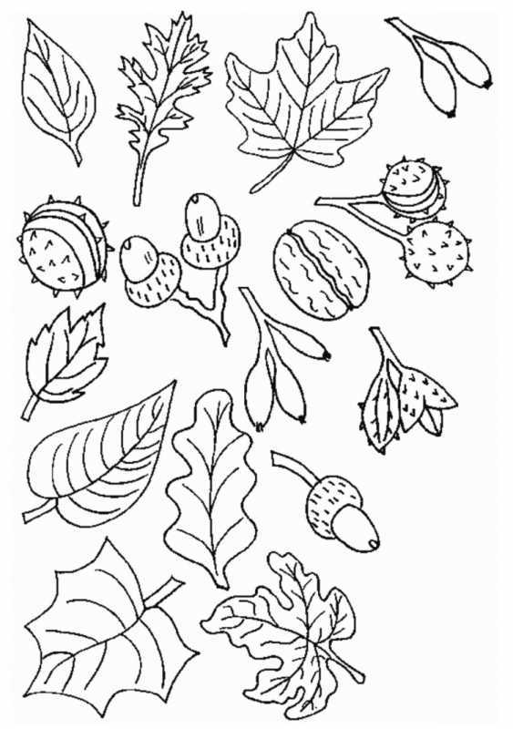 Ёжик раскраска для детей