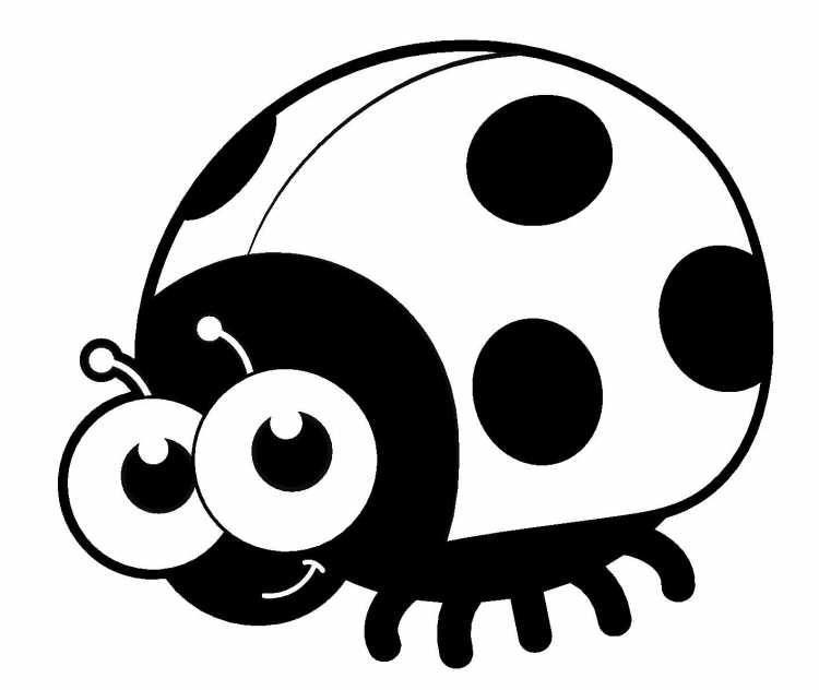 Насекомые. Раскраска