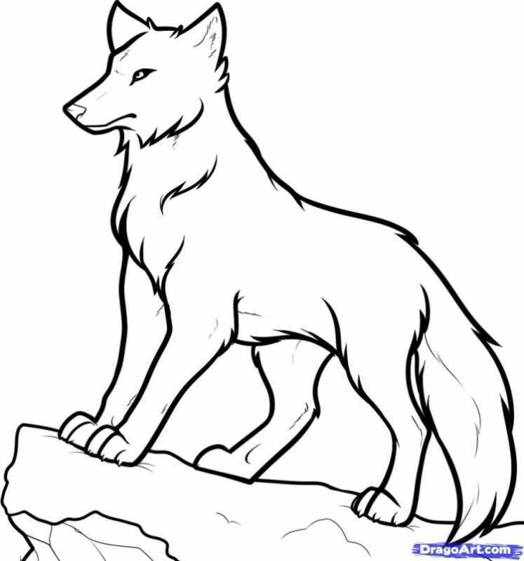 Раскраска волк