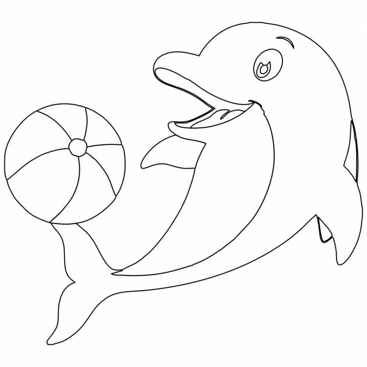 Дельфины рисунок раскраска