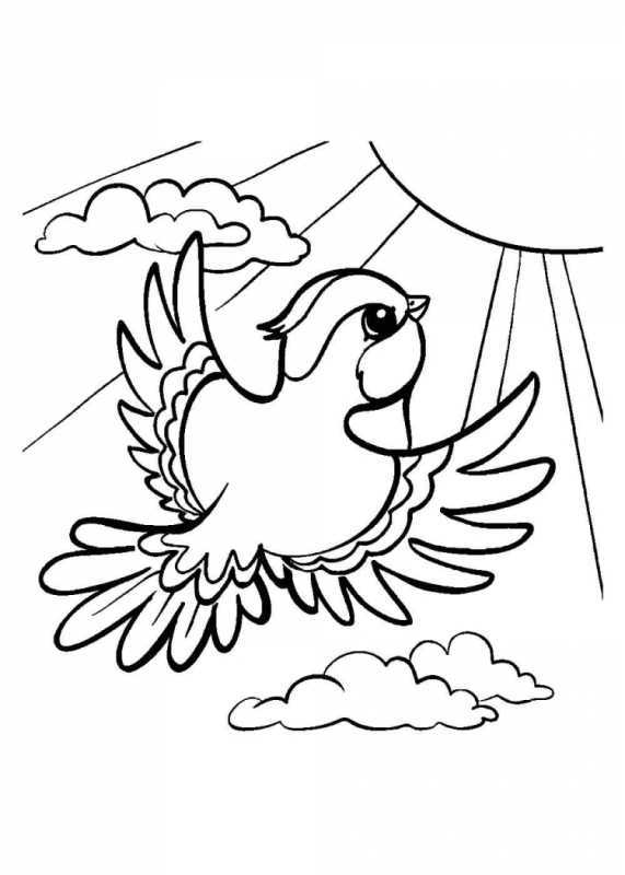 Зимующие птицы раскраска Снегирь