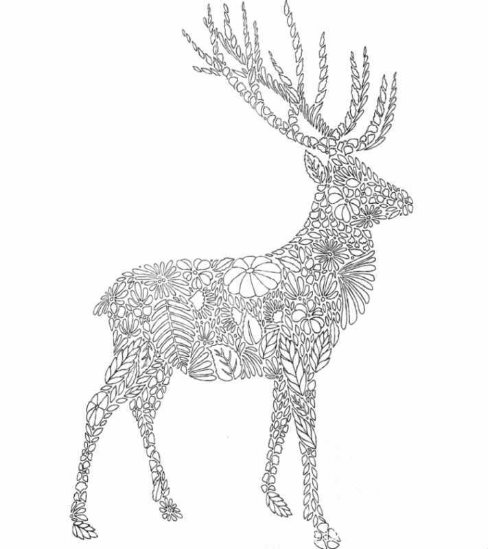 Много маленькие раскраски олень
