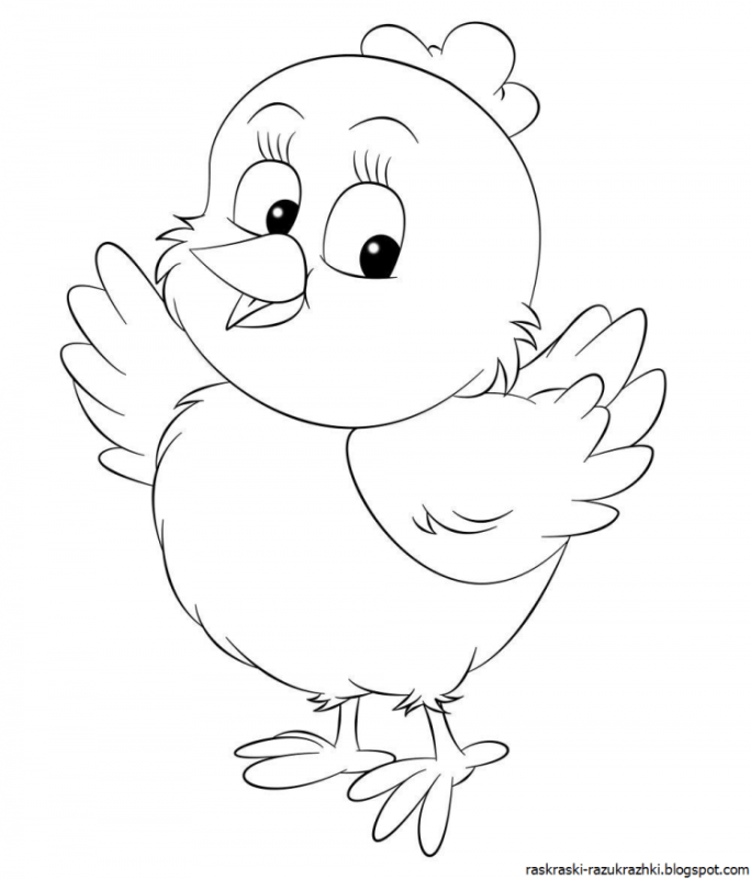 Раскраска птенец