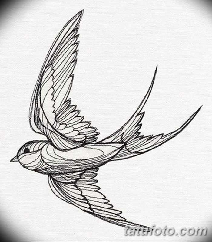 Татуировка Ласточка эскиз