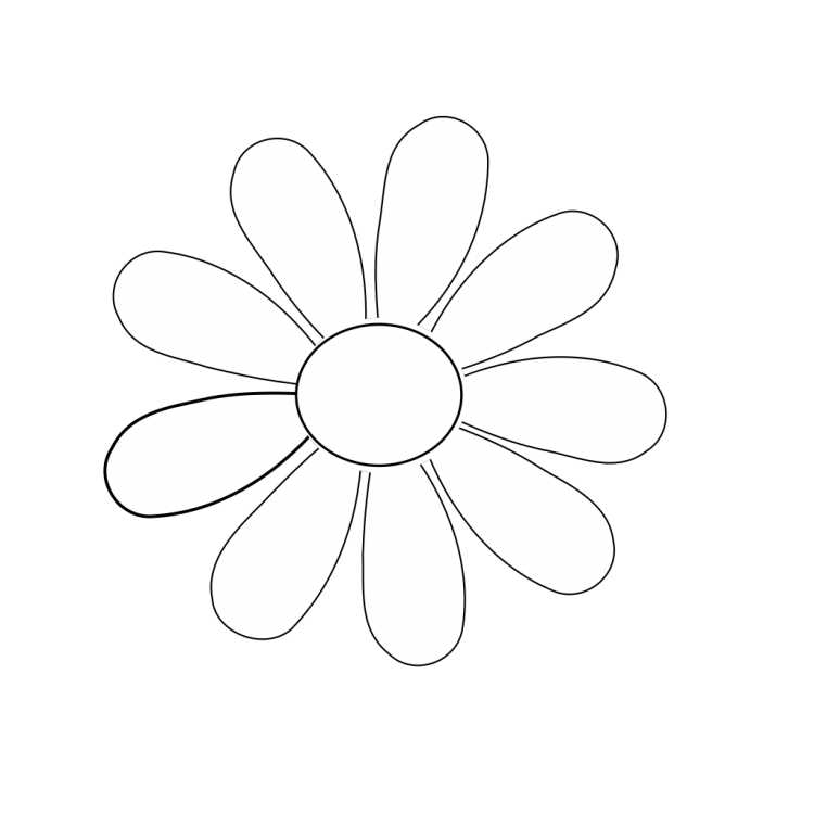 Раскраска Ромашка без стебля
