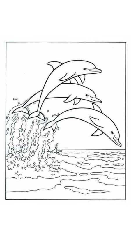 Раскраска "дельфины"