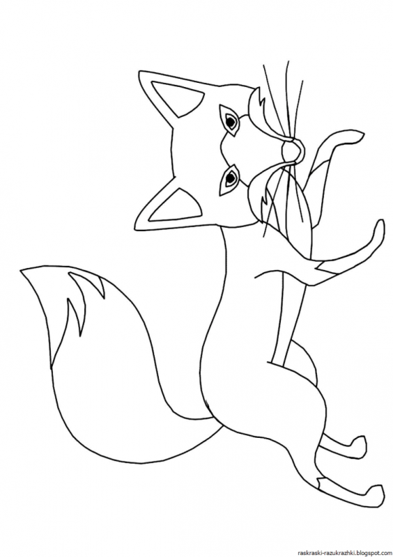 Раскраска леса