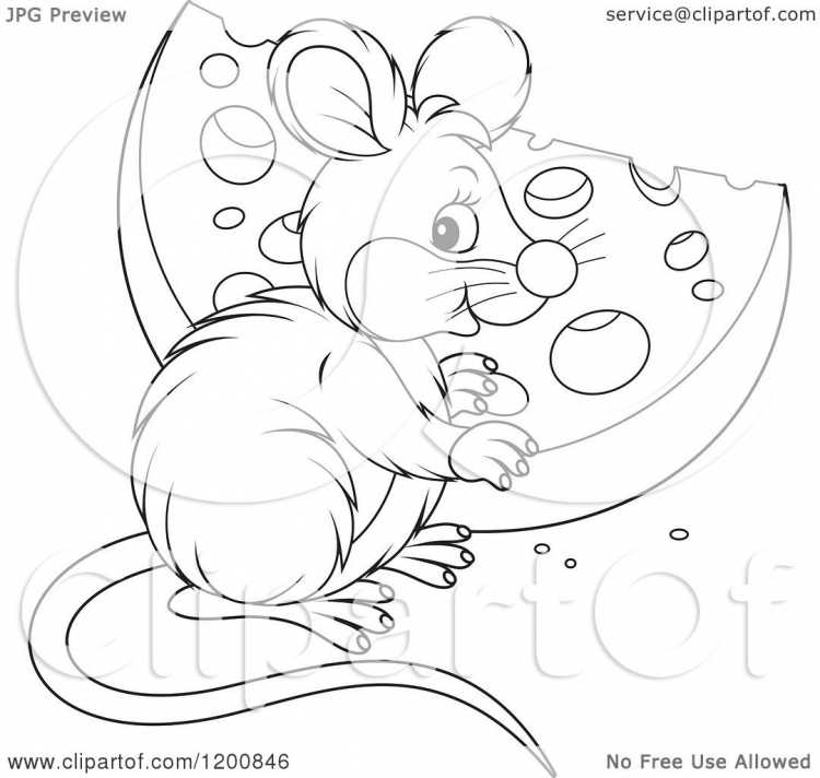 Мышь рисунок для детей