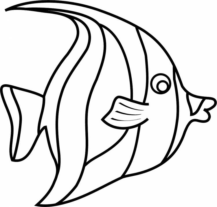 Рыба раскраска