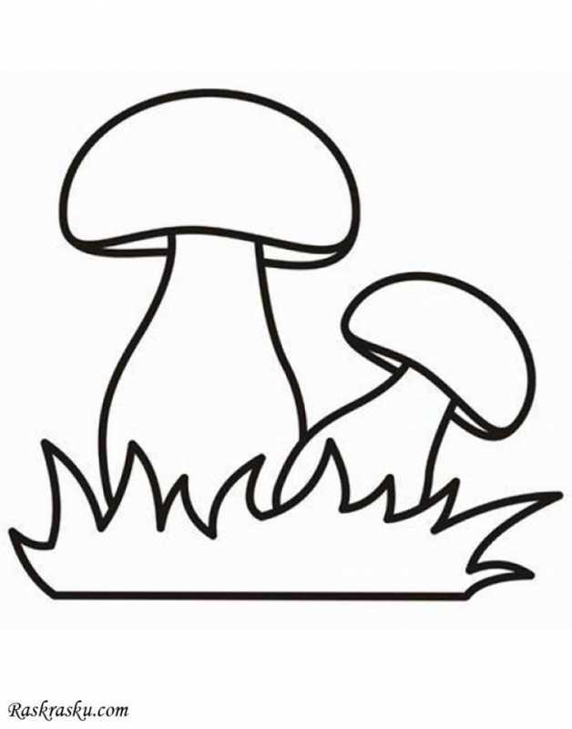 Мухомор раскраска
