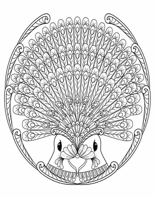 Павлин раскраска для детей цветные