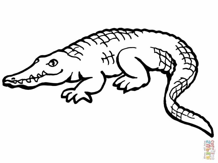 Крокодил раскраска для детей