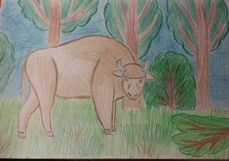 Беларусь рисунок