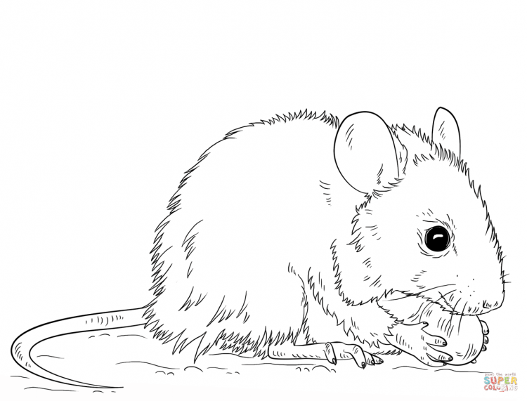 Силуэт мышки для раскрашивания