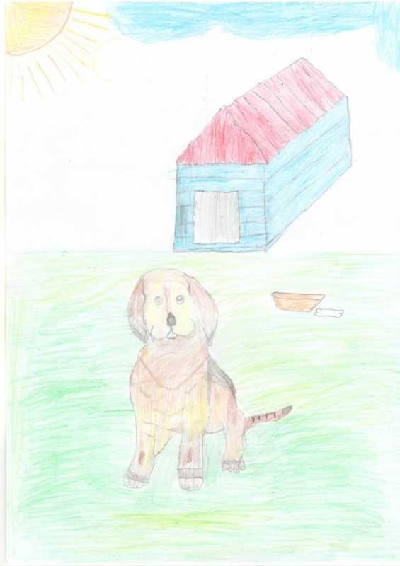 Конкурс мы в ответе за тех кого приручили