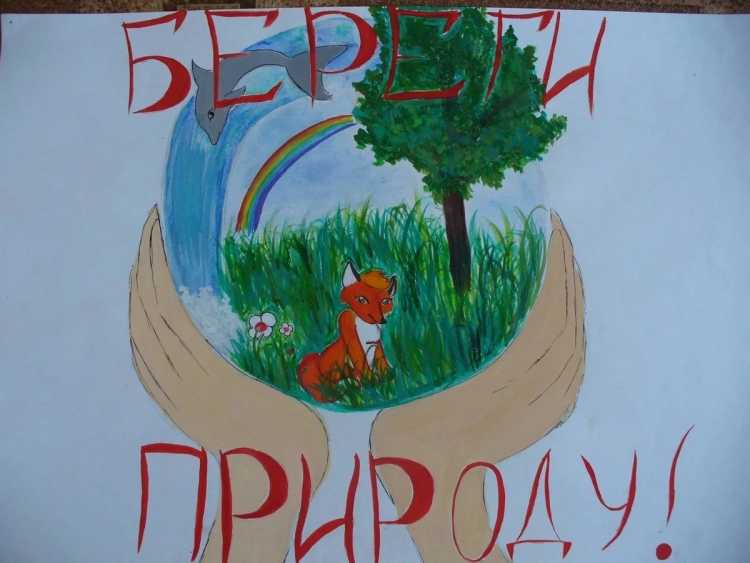 Рисунок на тему берегите природу