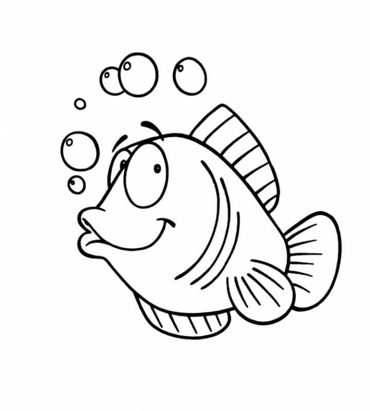 Контуры водных животных отдельно