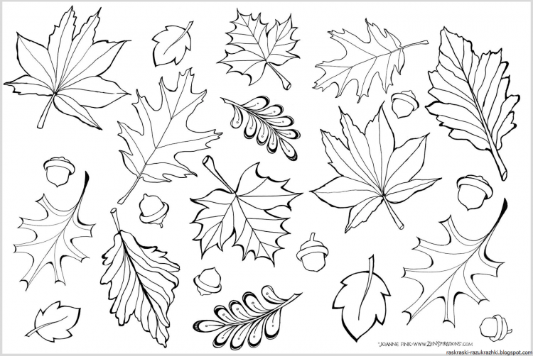 Кленовый листик раскраска