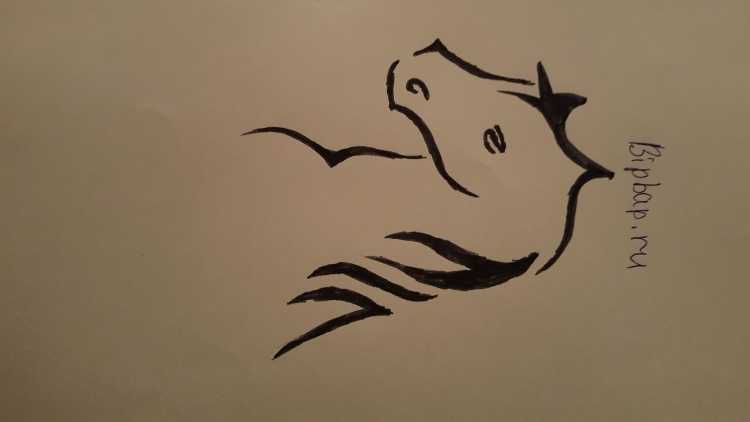 Наброски шариковой ручкой