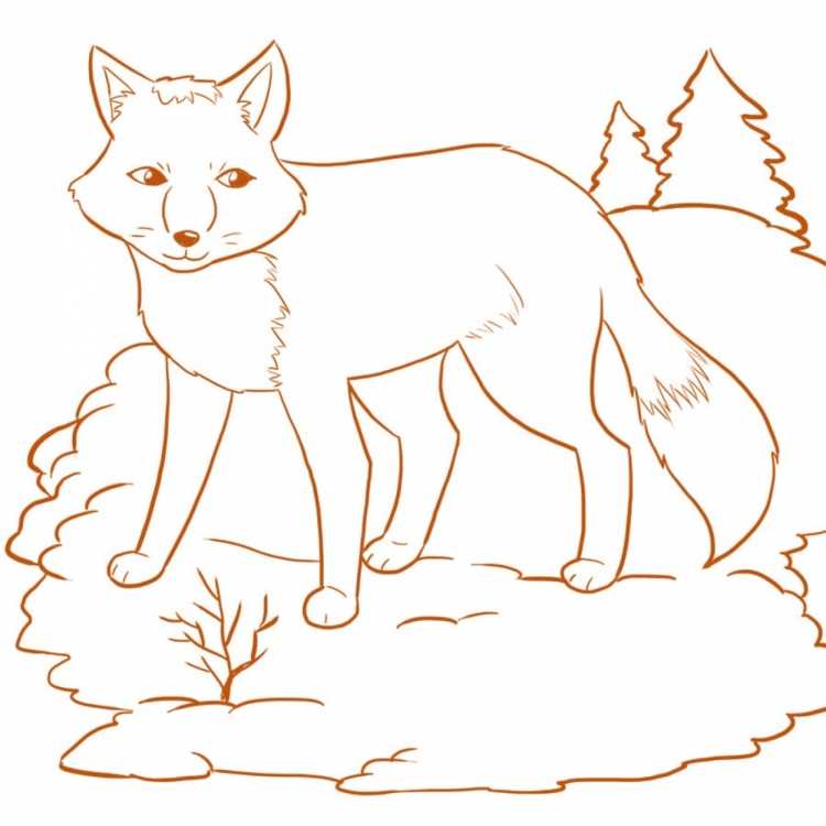 Раскраска лиса с лисятами для детей