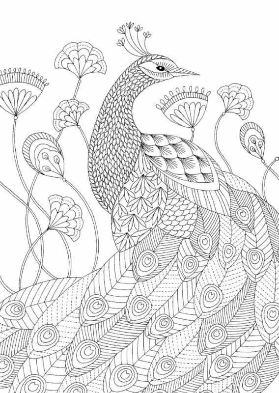 Павлин раскраска для детей