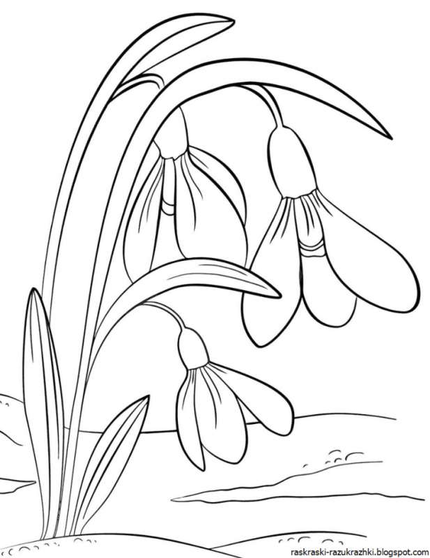 Раскраска. Весна