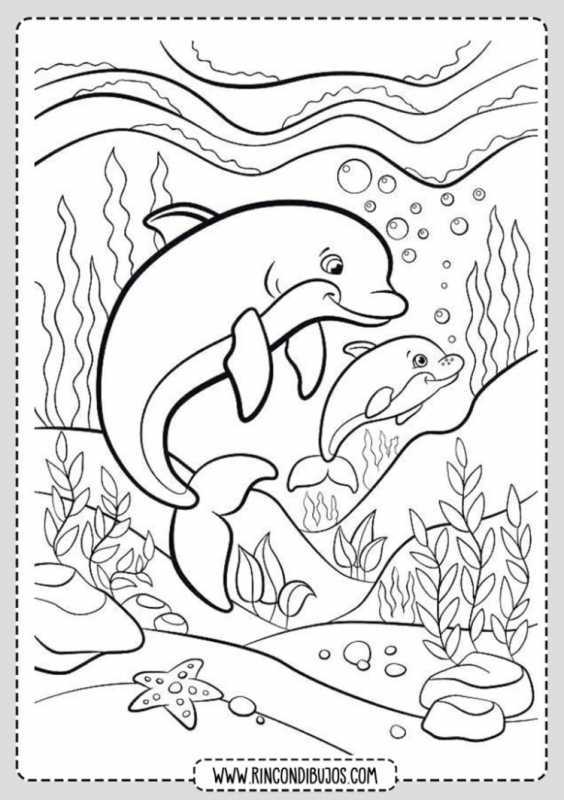 Дельфин раскраска для детей