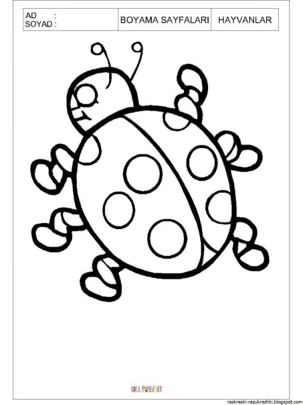 Трафарет Божьей коровки для рисования