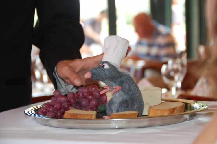 Закусочная Рататуй мультфильм