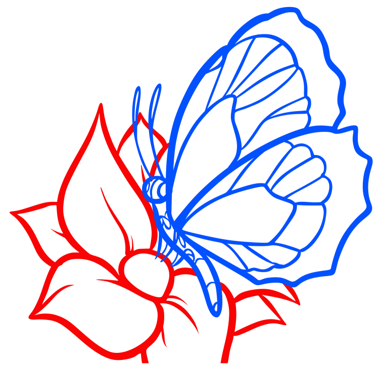 Рисунки с цветами красивые и легкие