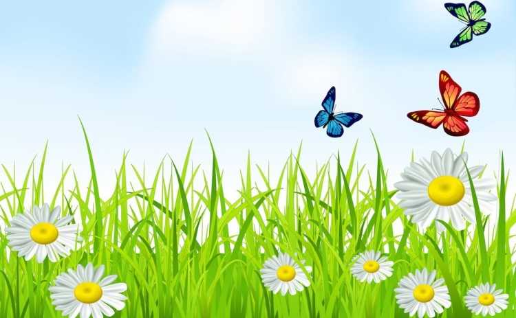 Поляна цветов для детей