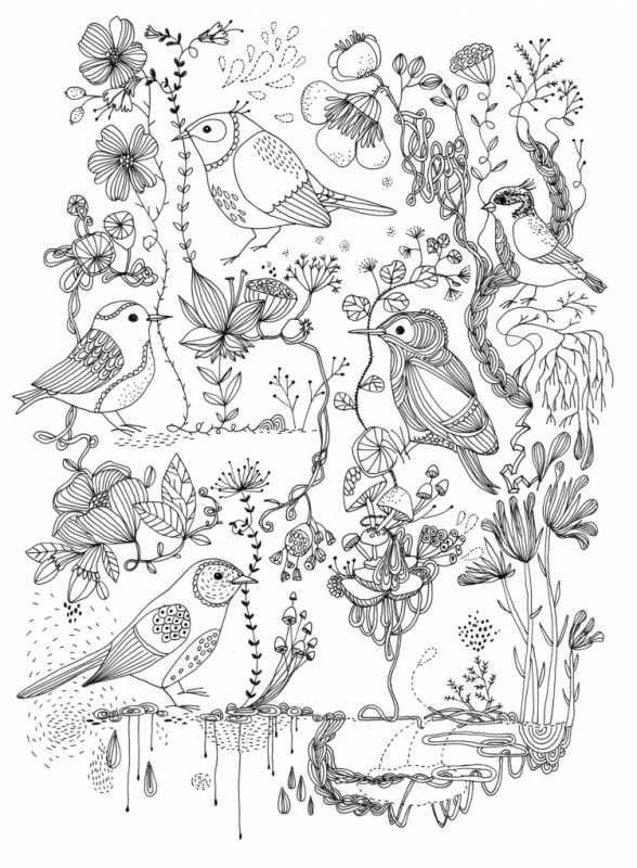 Рисунок птицы для раскрашивания