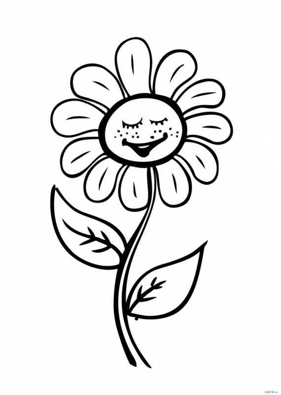 Букет цветов карандашом для детей