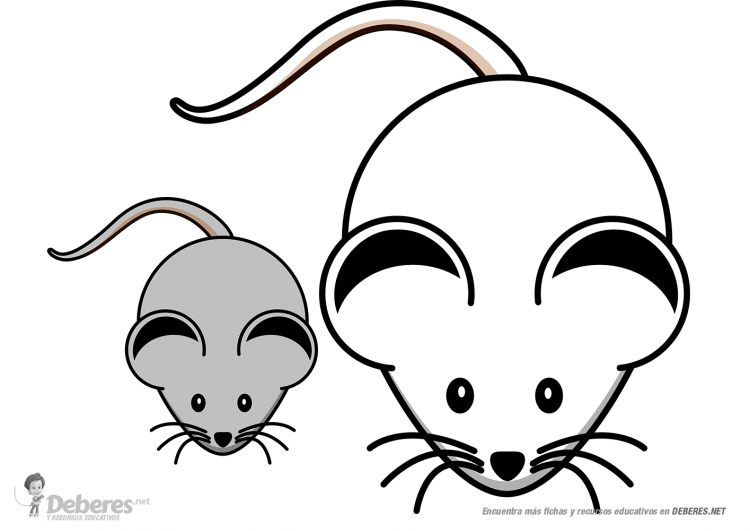 Раскраска вышка