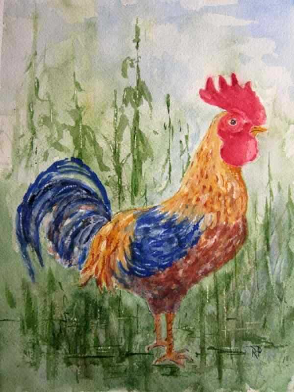 Рисование петушок