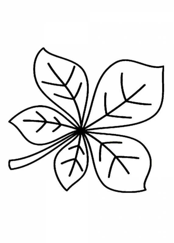 Листья деревьев