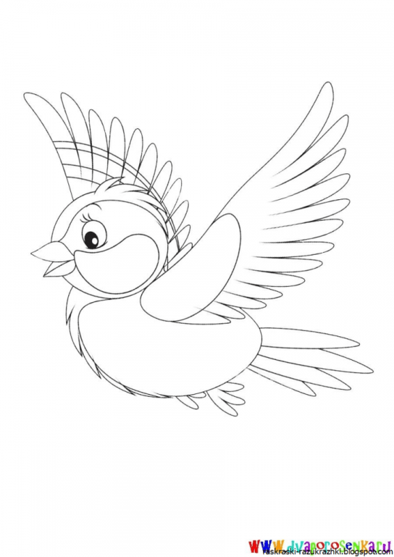 Синичка раскраска для детей
