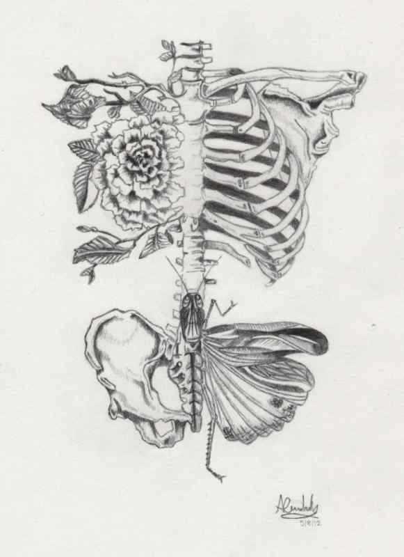 Эскиз на ребра