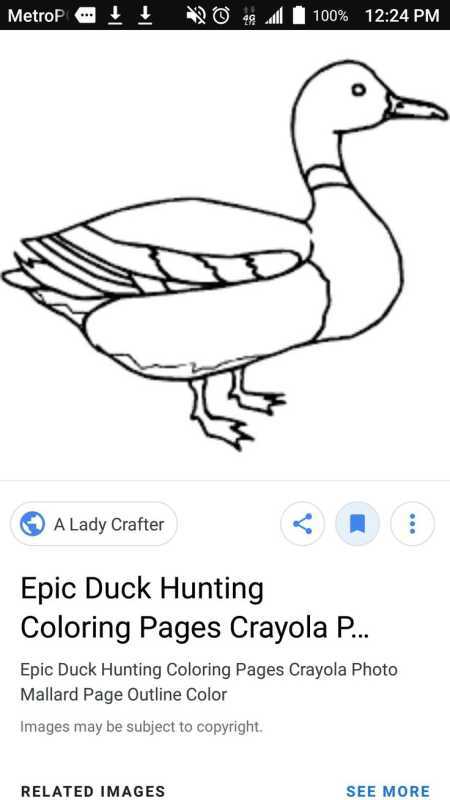 Пришвин хромка раскраска