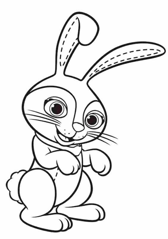 Раскраска зайчик настоящий