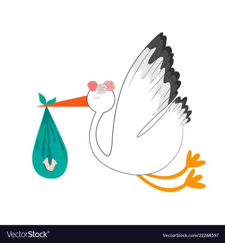 Аист раскраска